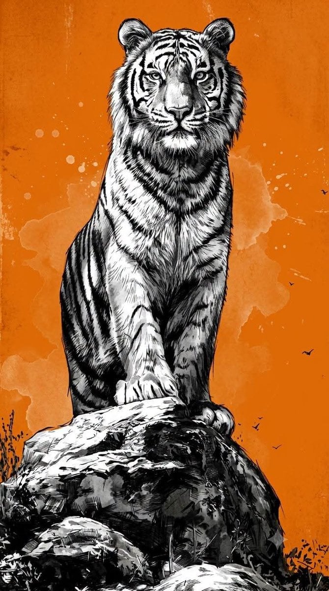 Monochrome Ink Illustration on Orange