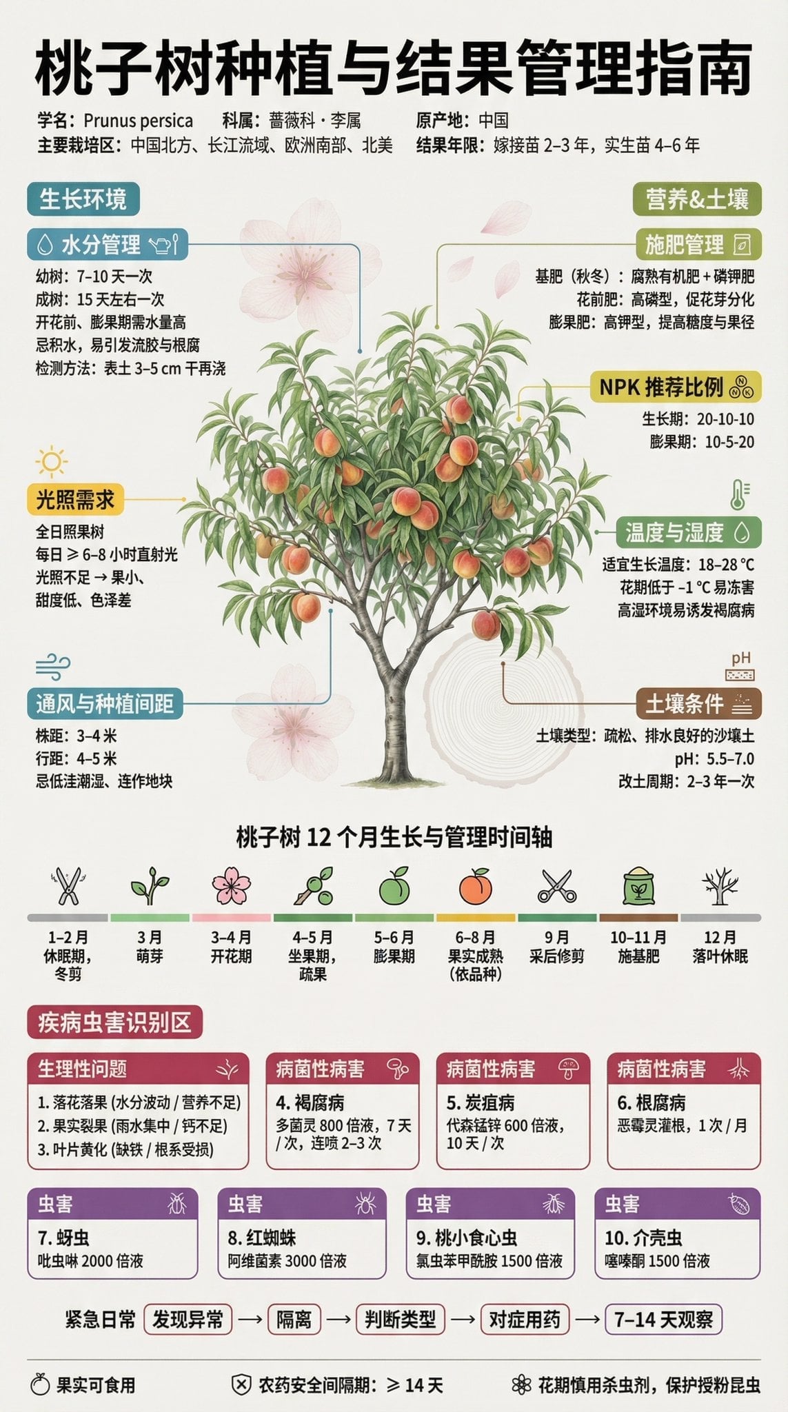 Fruit Tree Cultivation Infographic Poster
