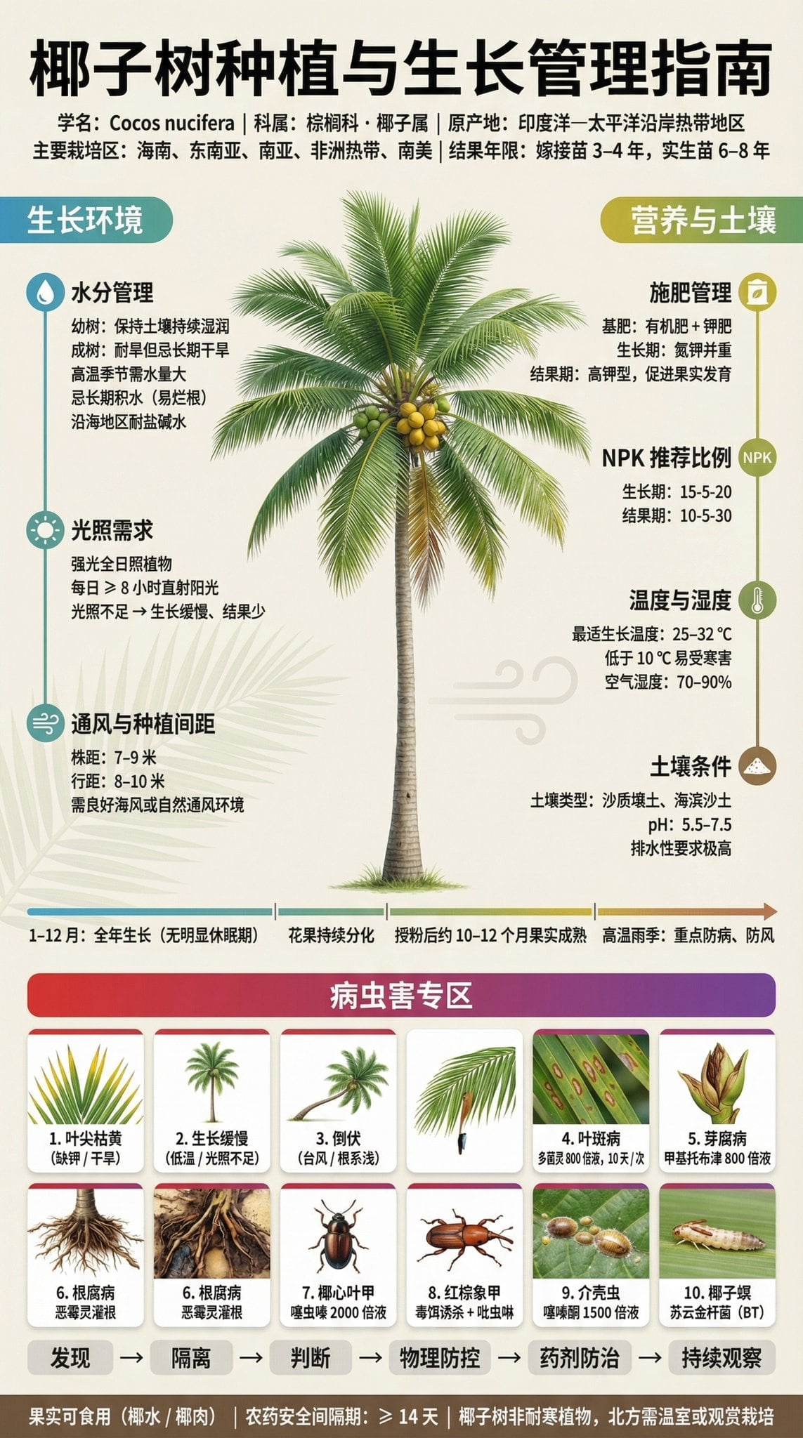 Fruit Tree Cultivation Infographic Poster
