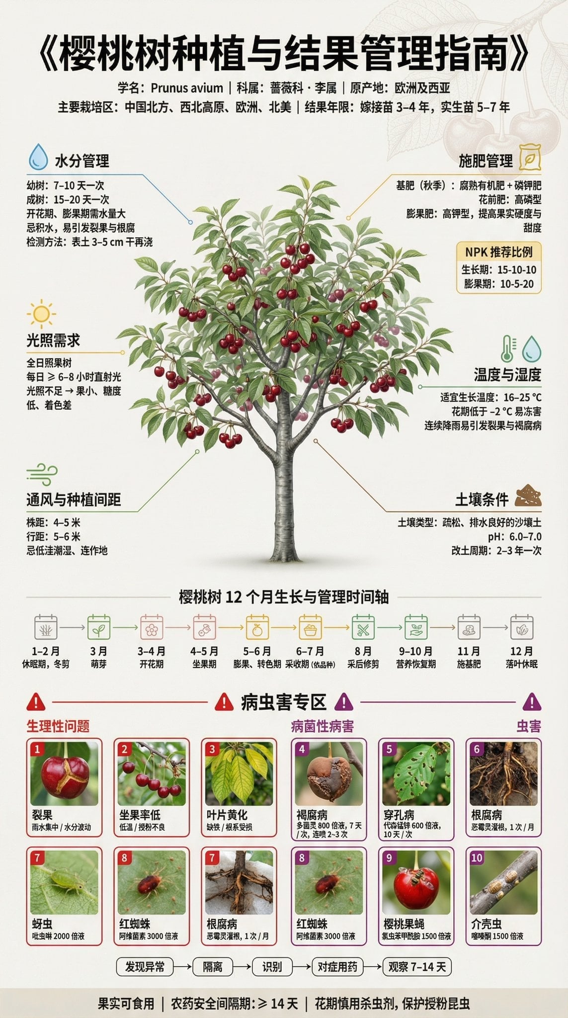 Fruit Tree Cultivation Infographic Poster