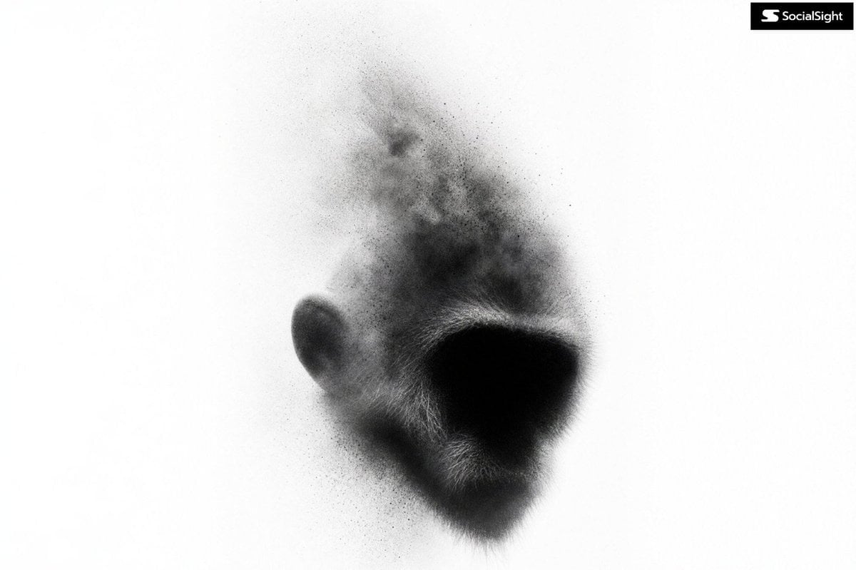Avant-Garde Spray Particle Silhouette