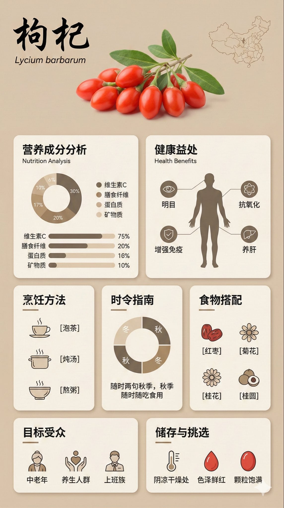 Bento Grid Food Infographic